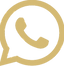 Whatsapp icon
