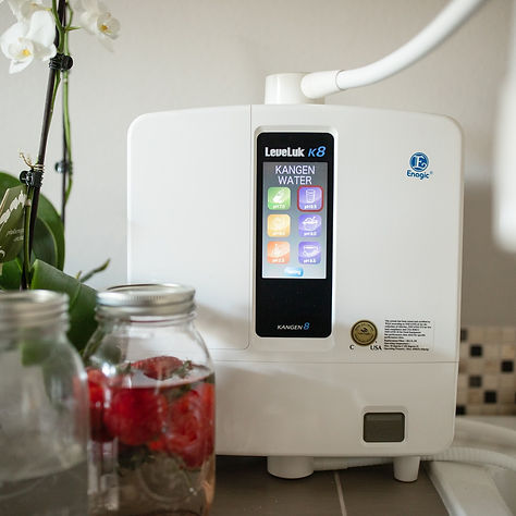 K8 Water ionizer